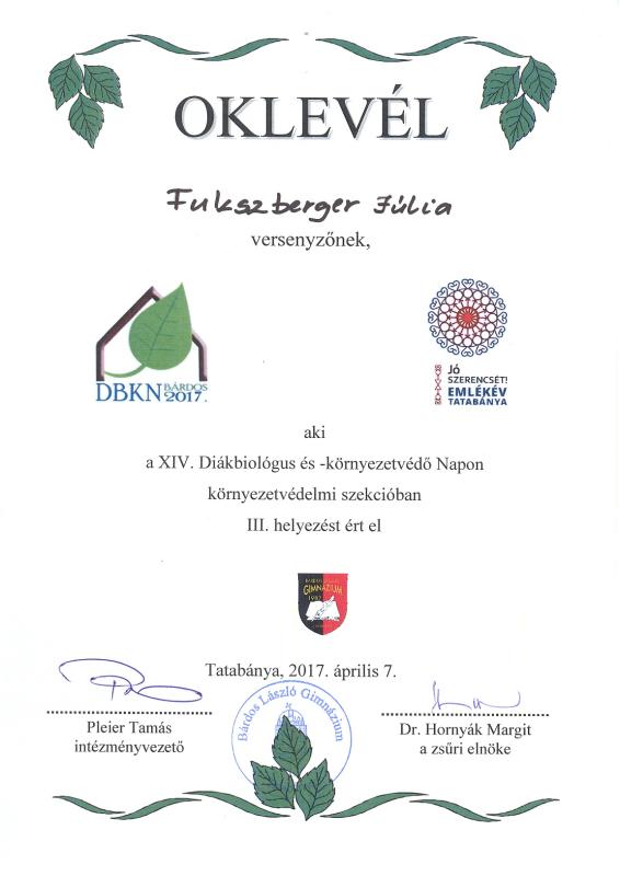 Fukszberger Júlia 9.A osztályos tanuló oklevele